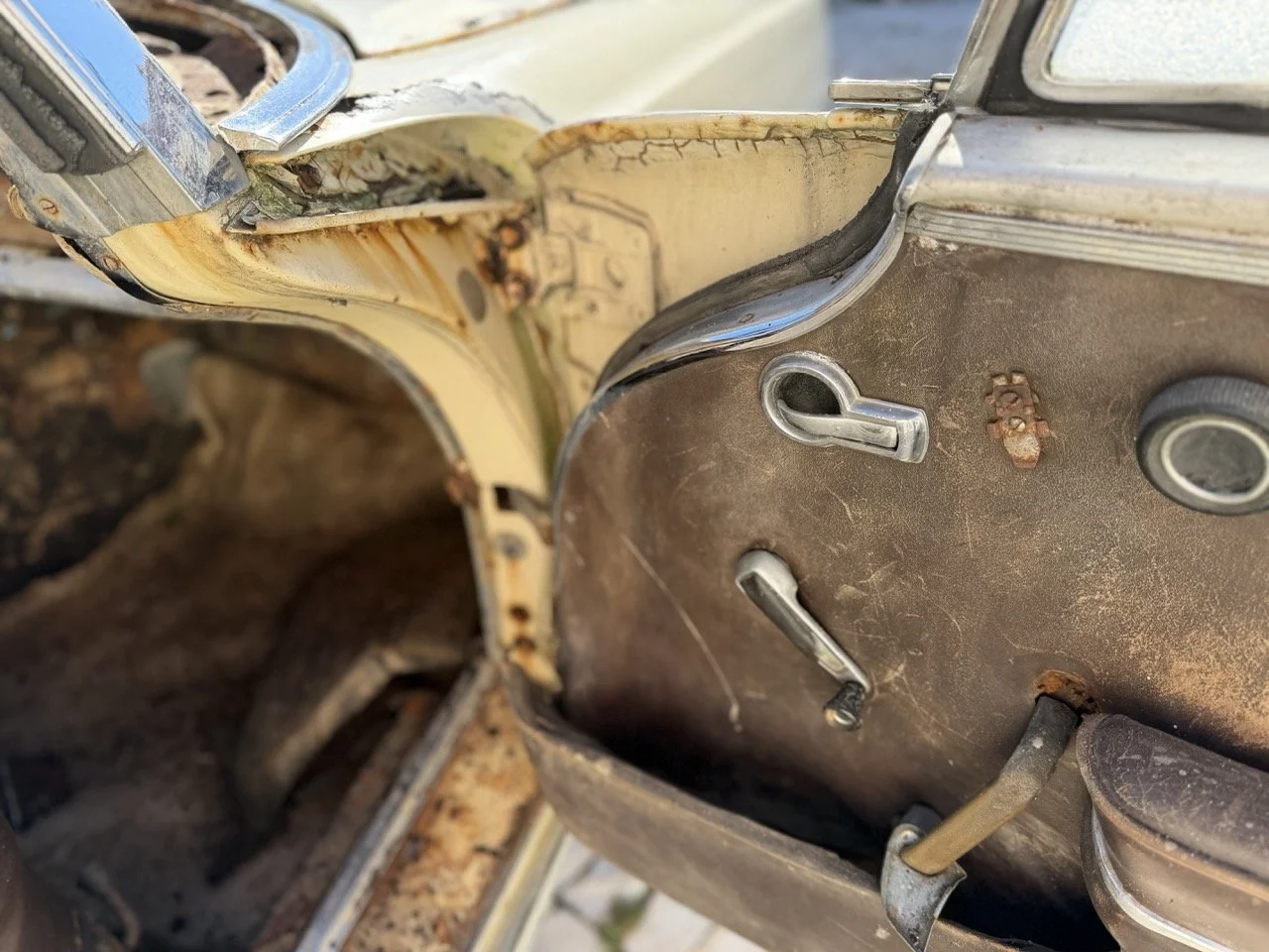 IMG_7023 – grande.jpeg