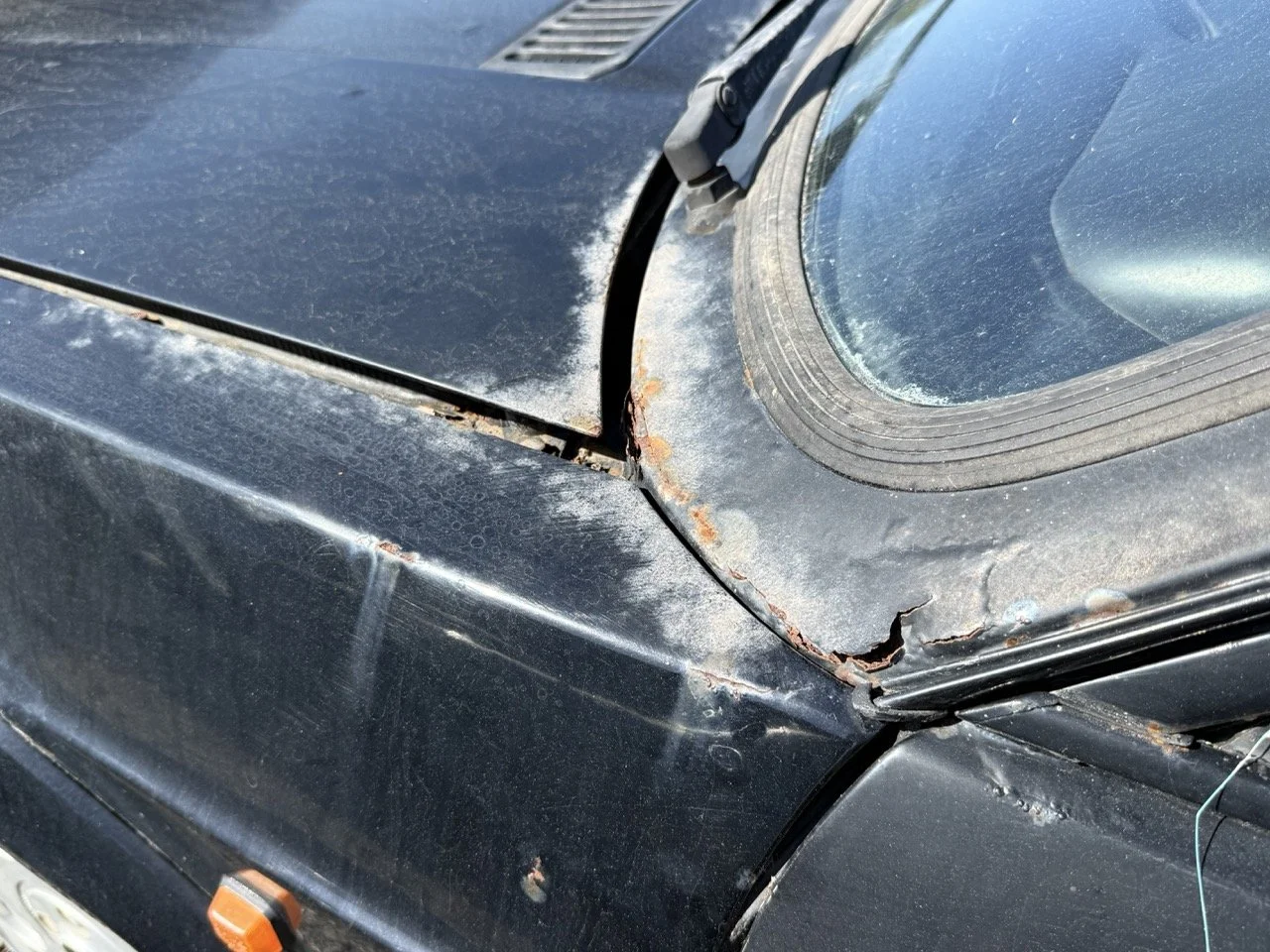 IMG_2930 – grande.jpeg