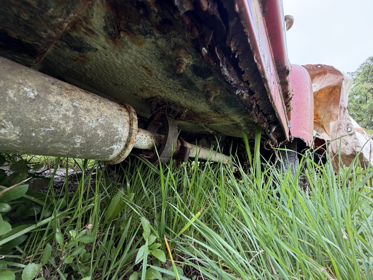 IMG_3879 – grande.jpeg