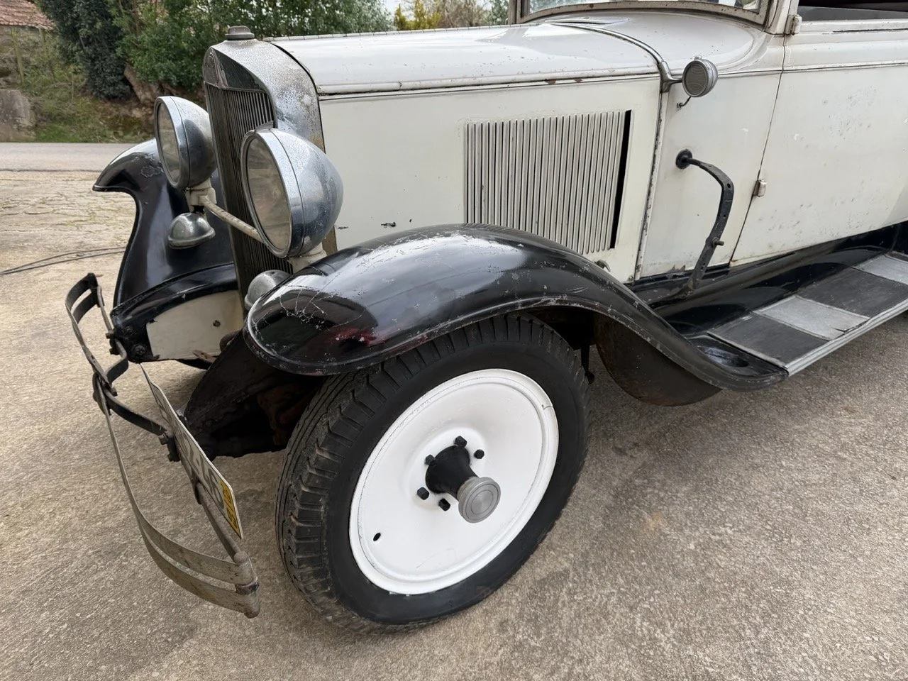 IMG_1619 – grande.jpeg