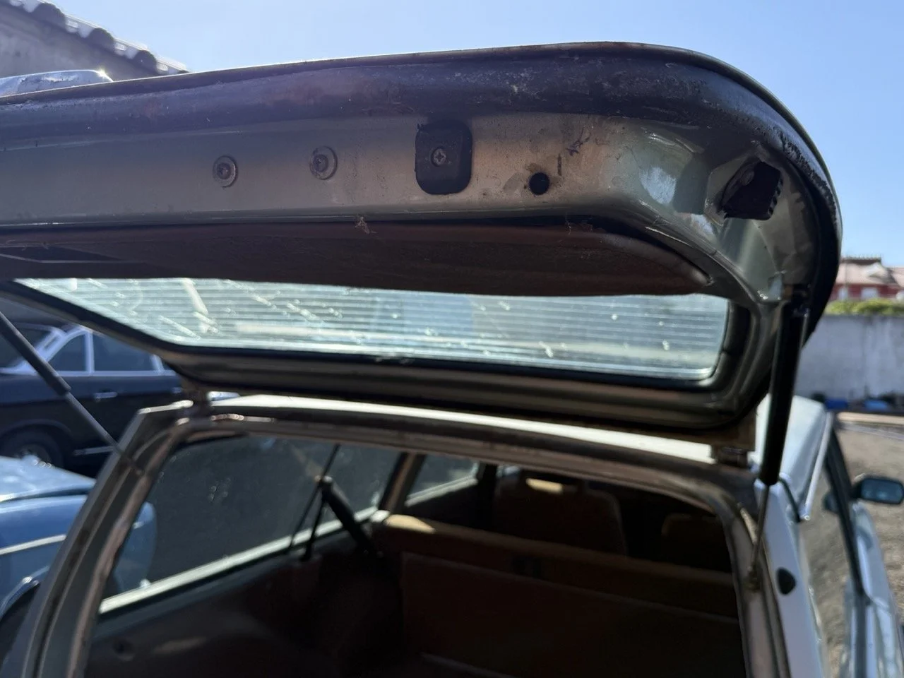 IMG_1194 – grande.jpeg