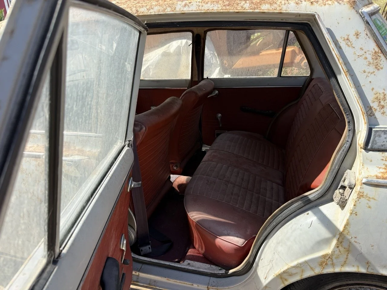 IMG_3231 – grande.jpeg