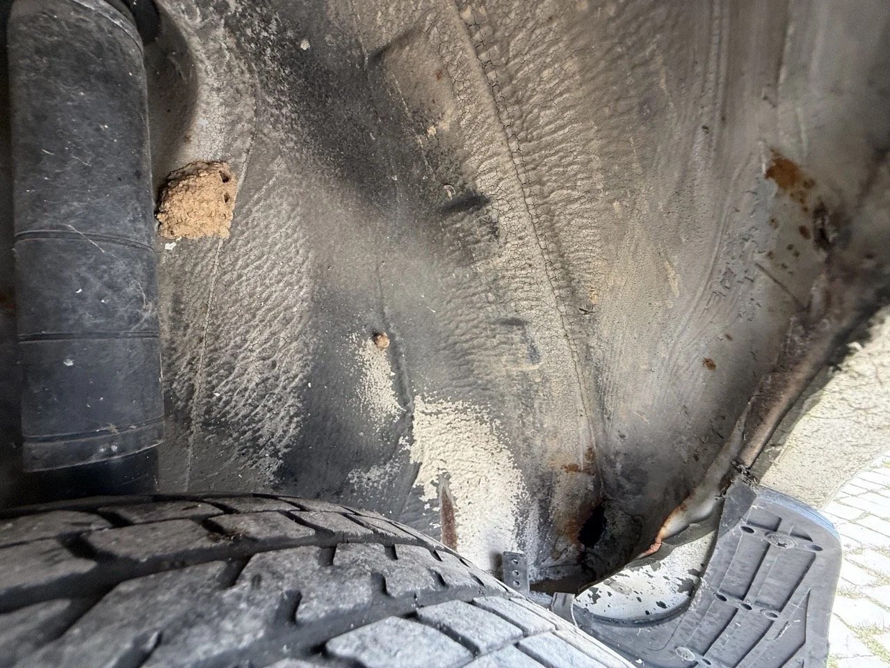 IMG_8654 – grande.jpeg