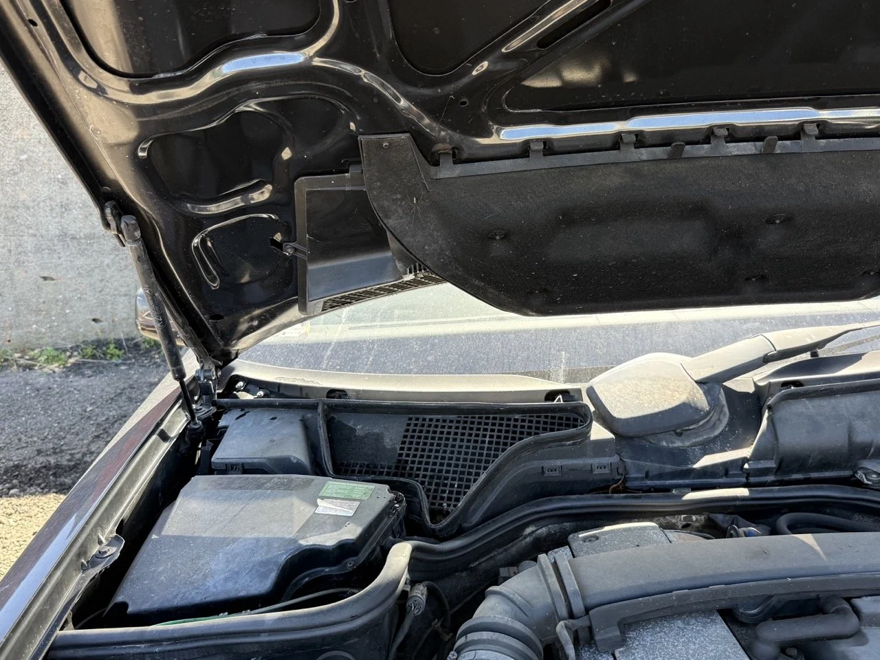 IMG_1781 – grande.jpeg