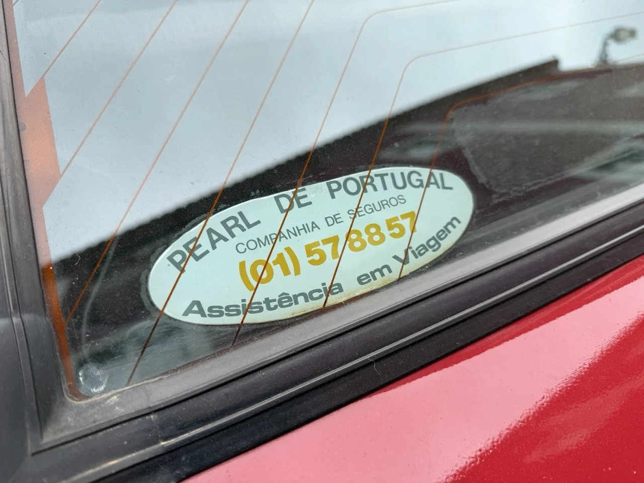 IMG_3499 – grande.jpeg