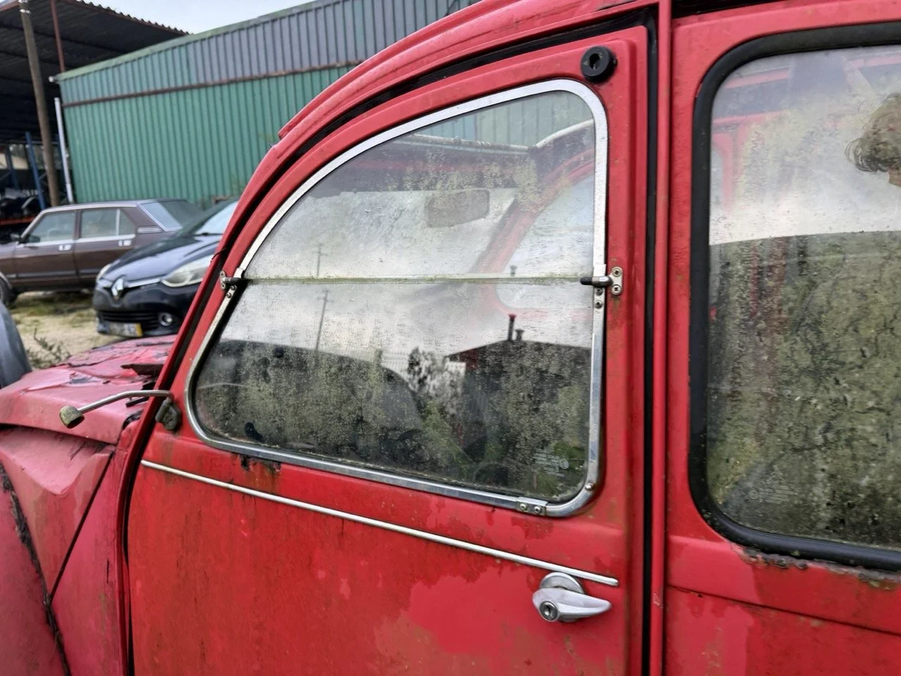 IMG_5486 – grande.jpeg