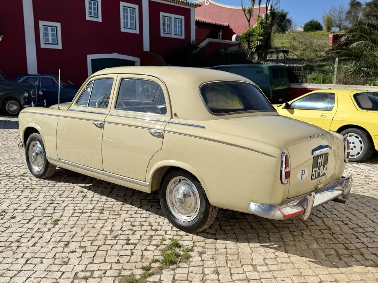 IMG_6641 – grande.jpeg