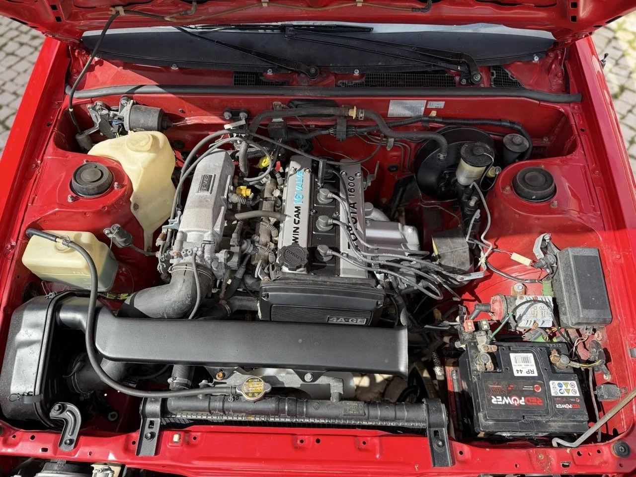 IMG_2346 – grande.jpeg