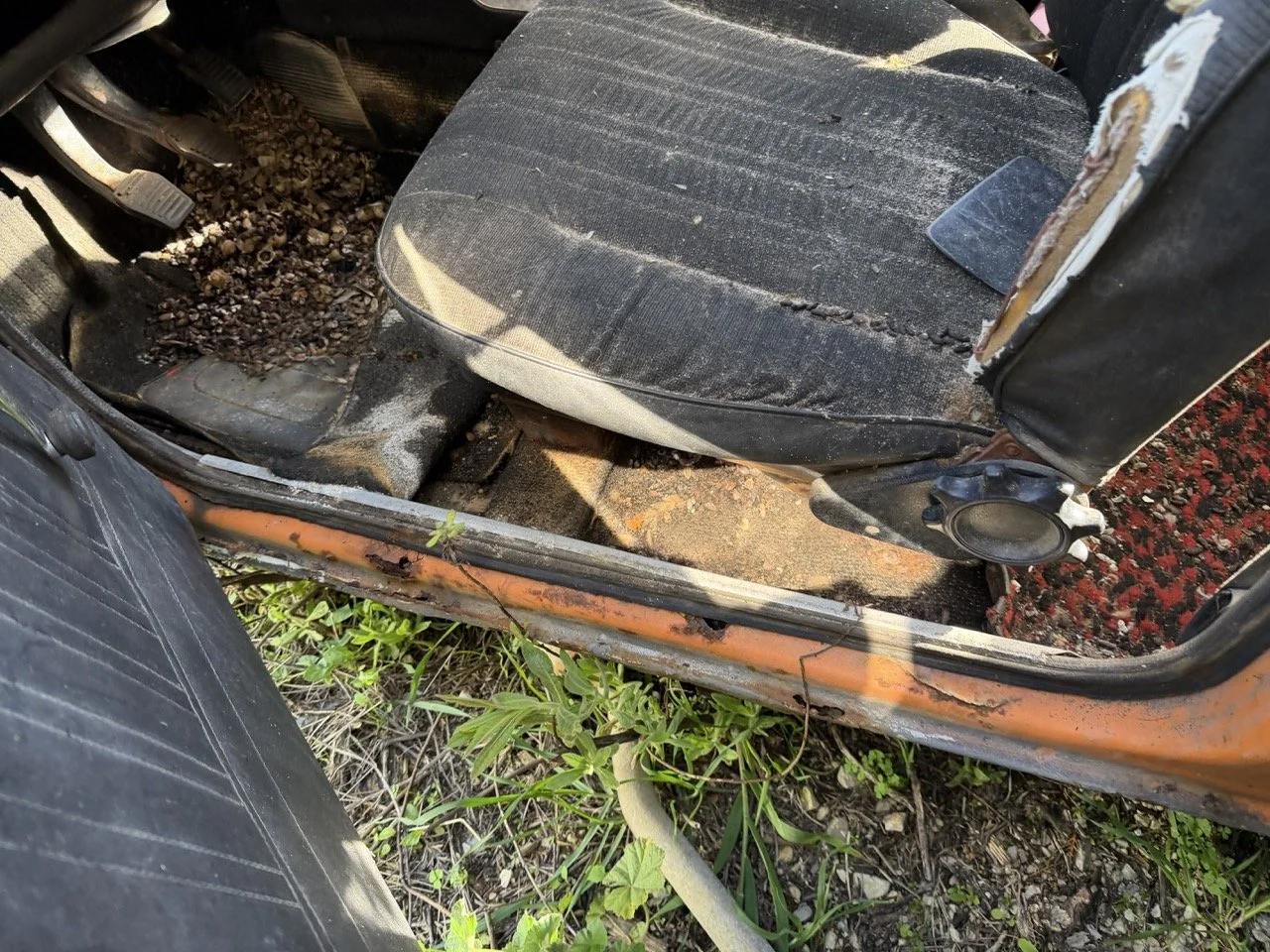 IMG_7705 – grande.jpeg