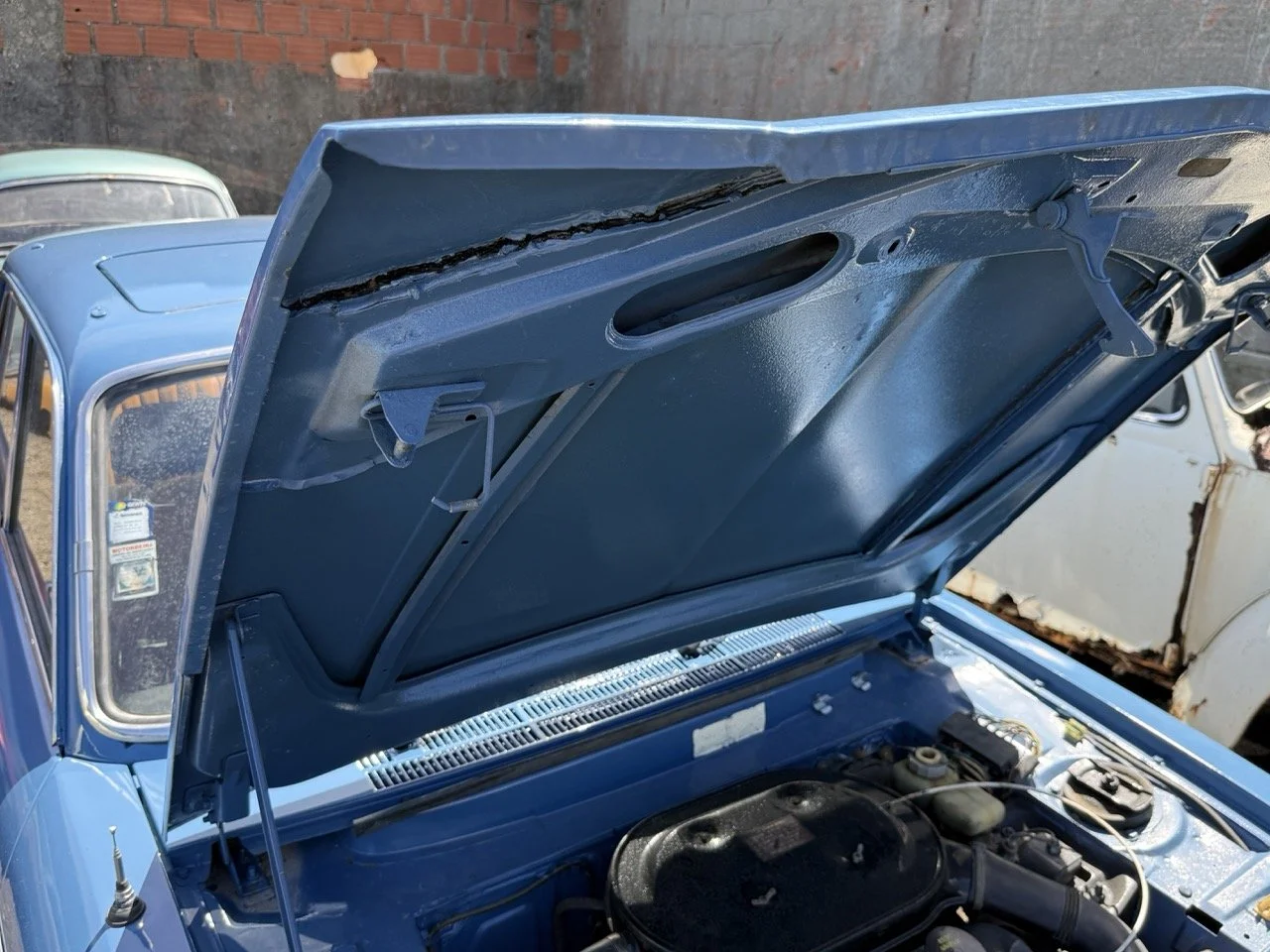 IMG_0791 – grande.jpeg