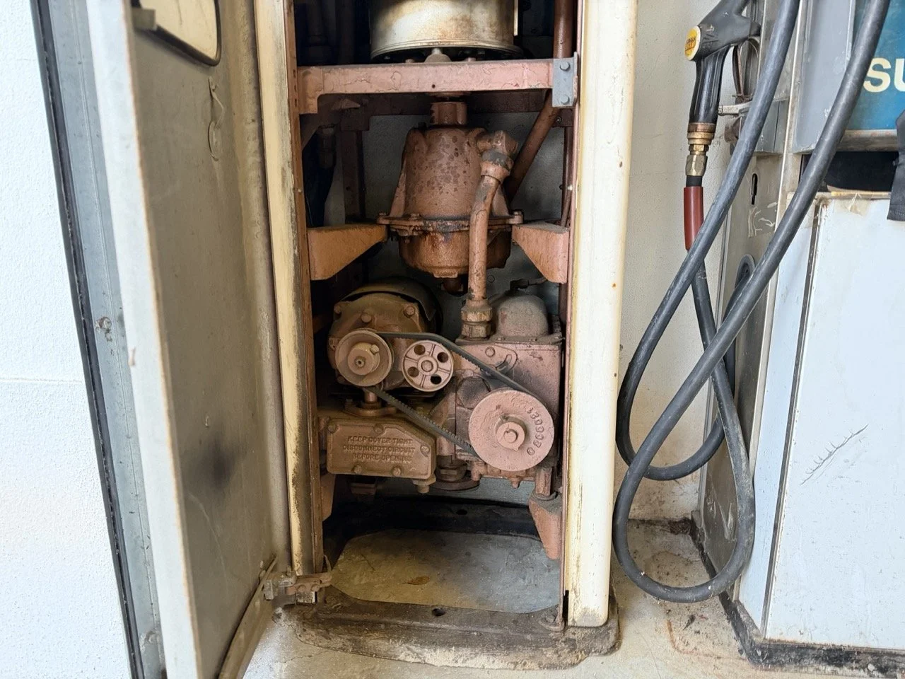 IMG_8950 – grande.jpeg