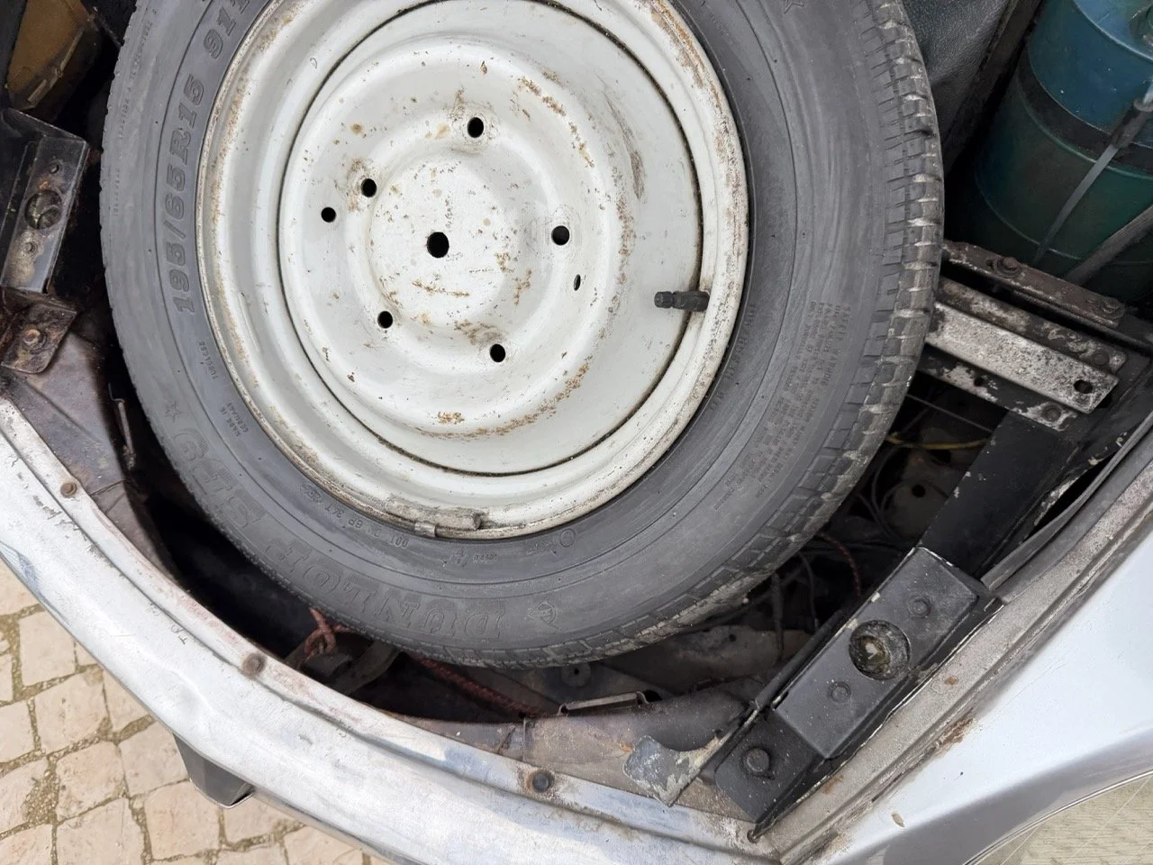 IMG_3733 – grande.jpeg