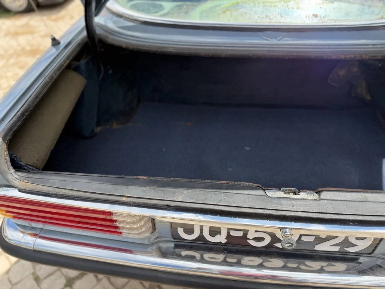 IMG_5794 – grande.jpeg