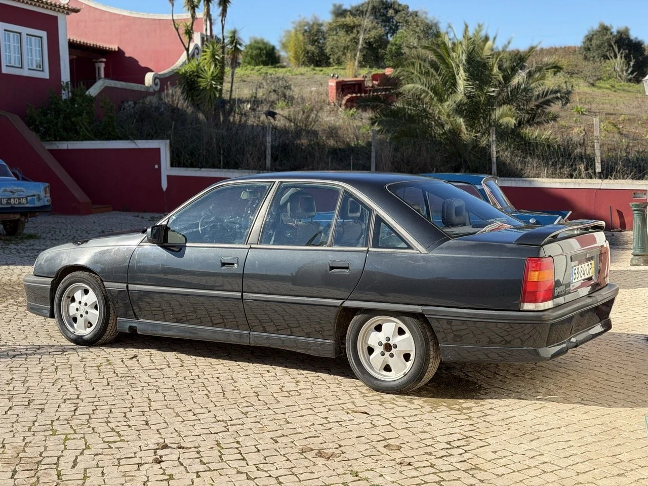 IMG_2698 – grande.jpeg