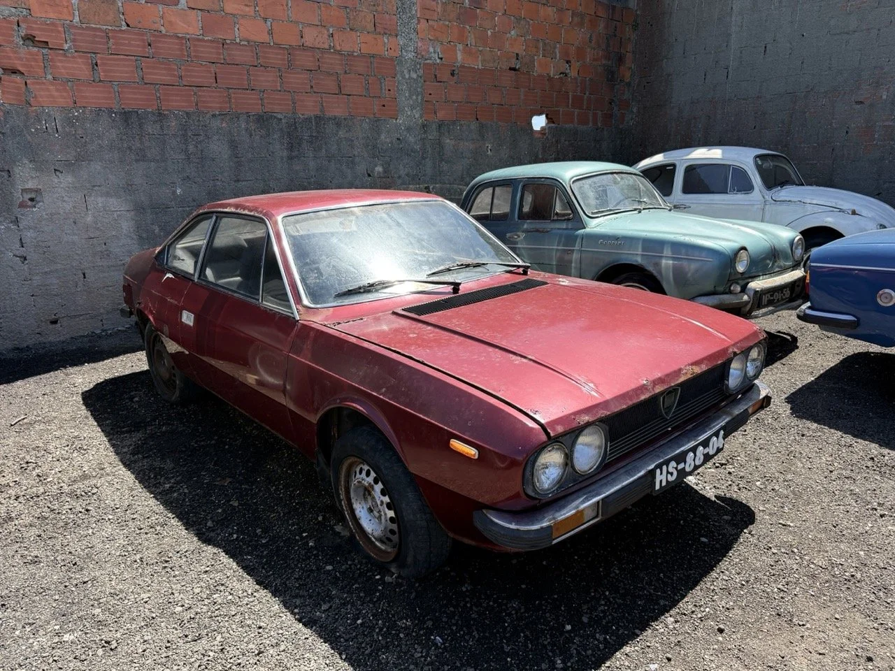 IMG_0903 – grande.jpeg