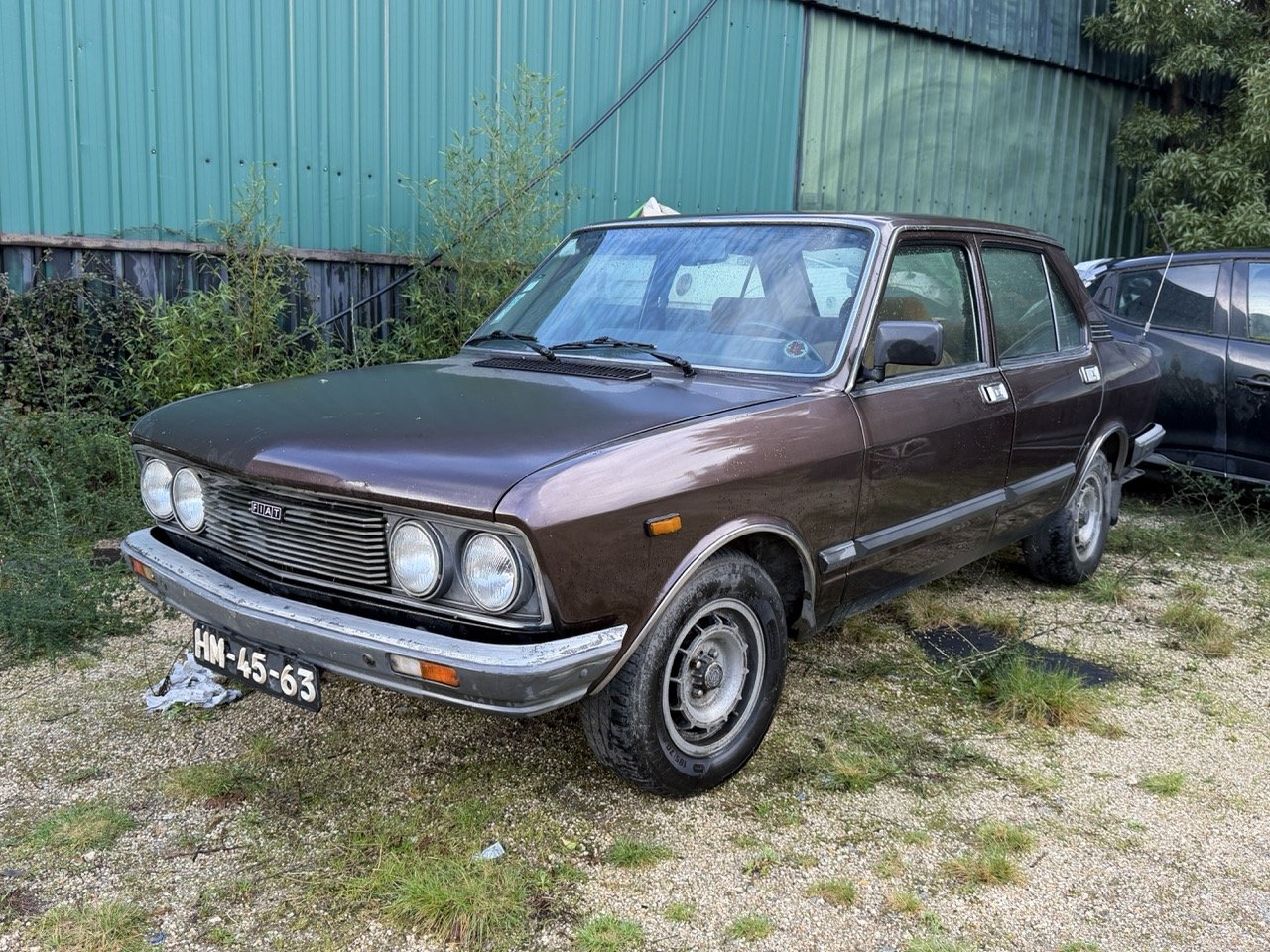 IMG_5240 – grande.jpeg