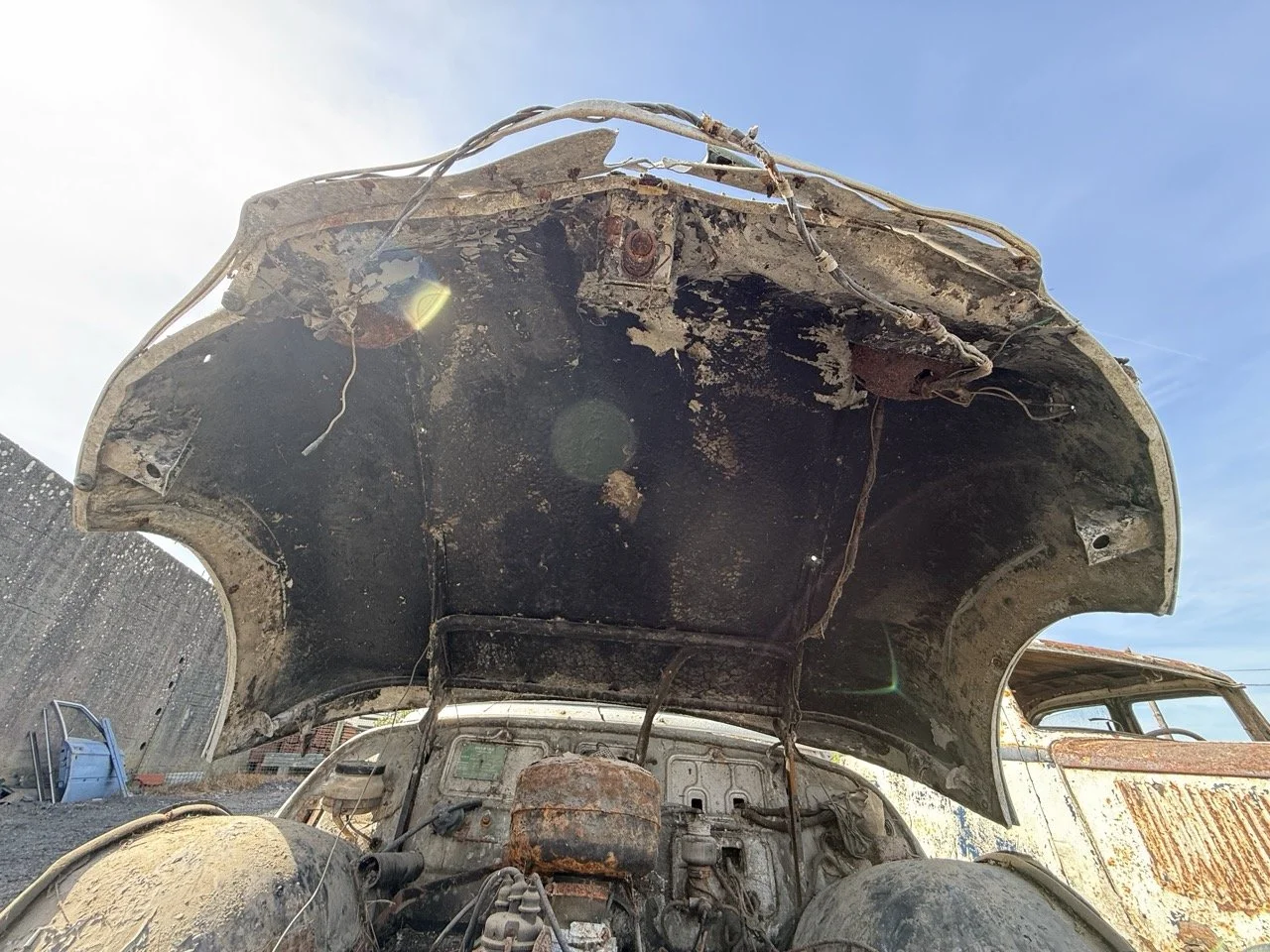 IMG_0341 – grande.jpeg