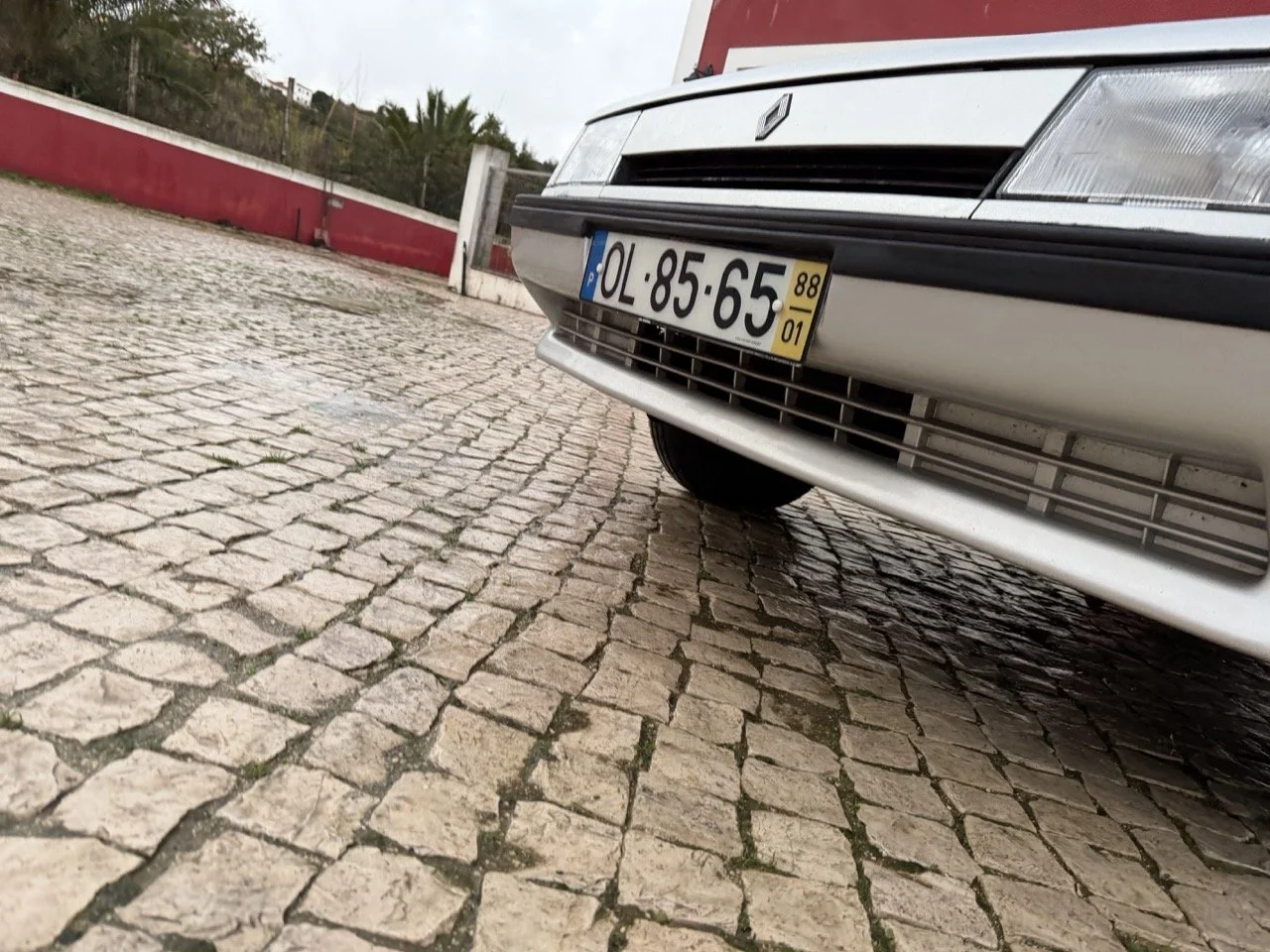 IMG_4751 3 – grande.jpeg