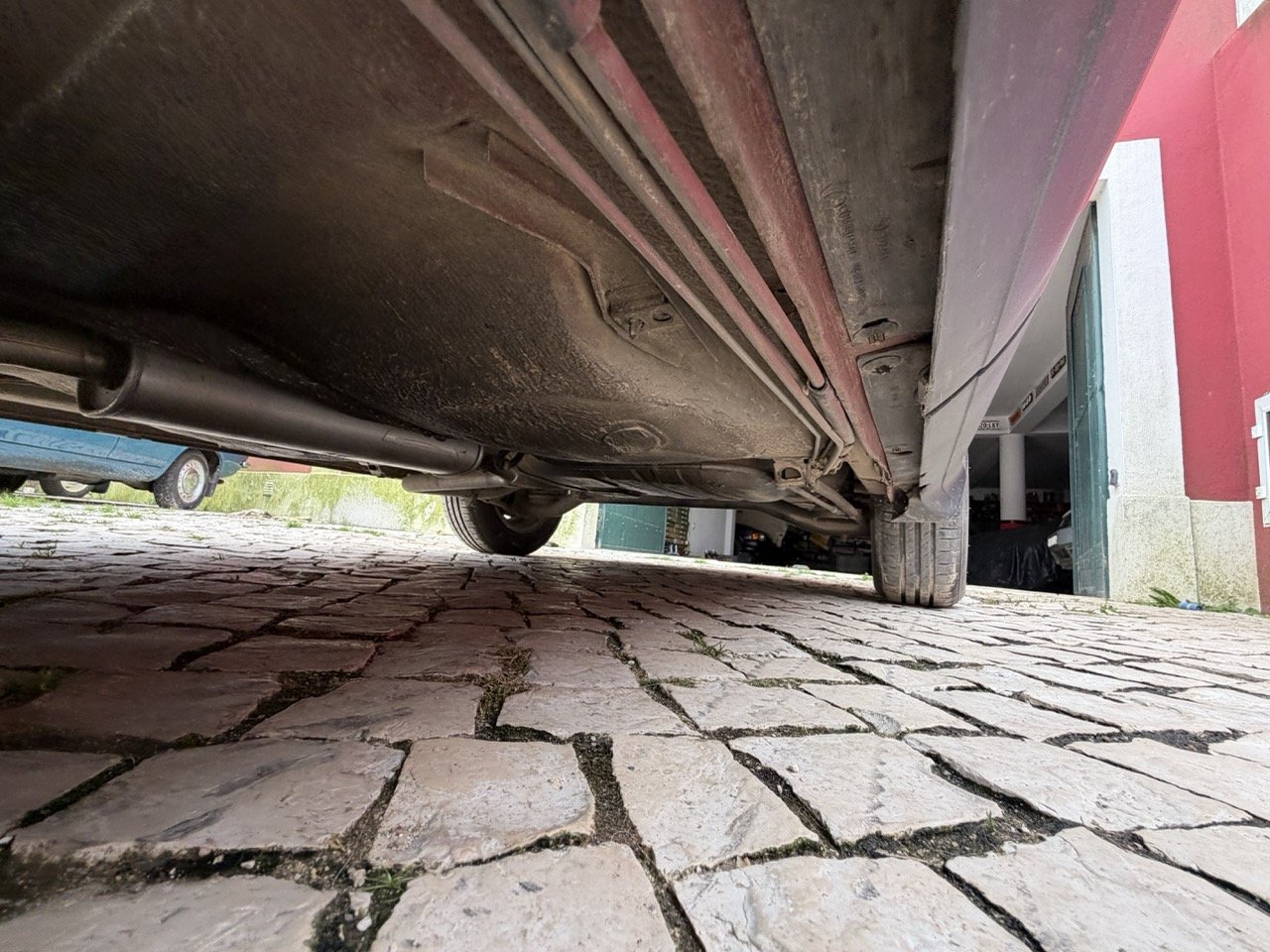 IMG_3528 – grande.jpeg