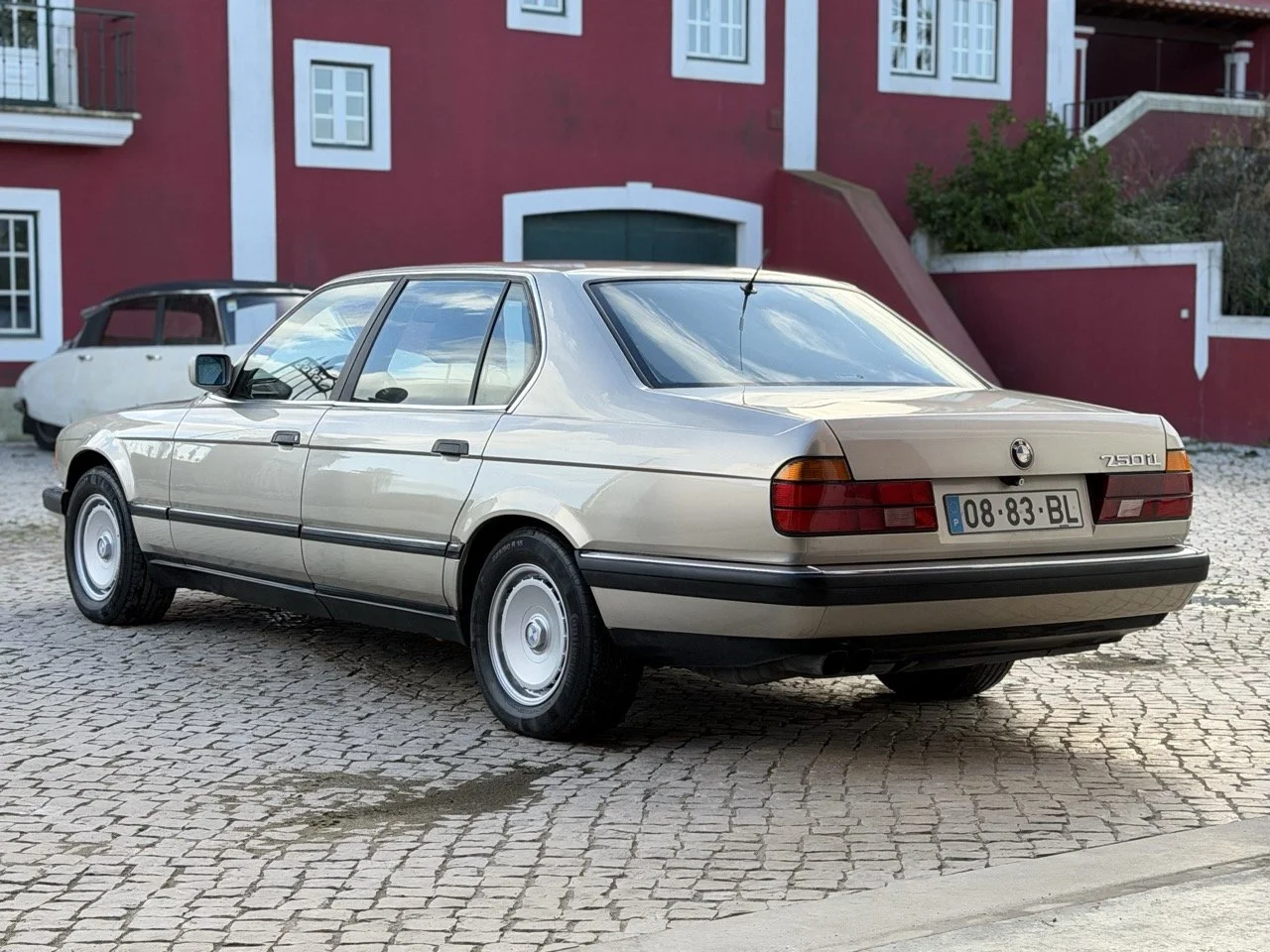 IMG_6880 – grande.jpeg