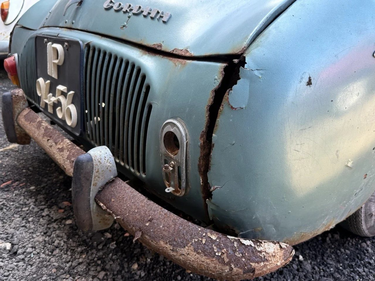 IMG_0876 – grande.jpeg