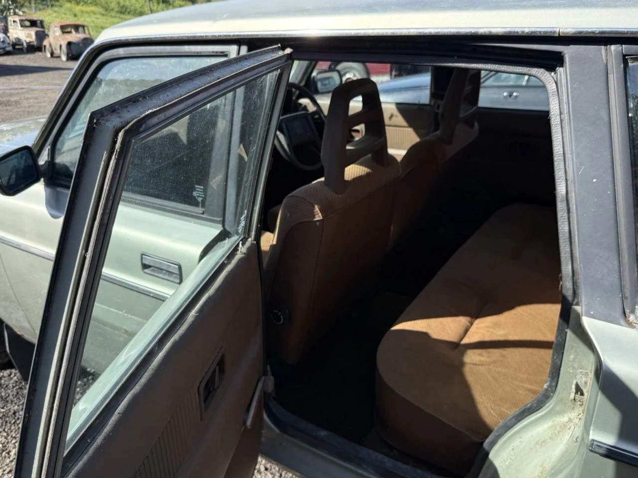 IMG_1181 – grande.jpeg