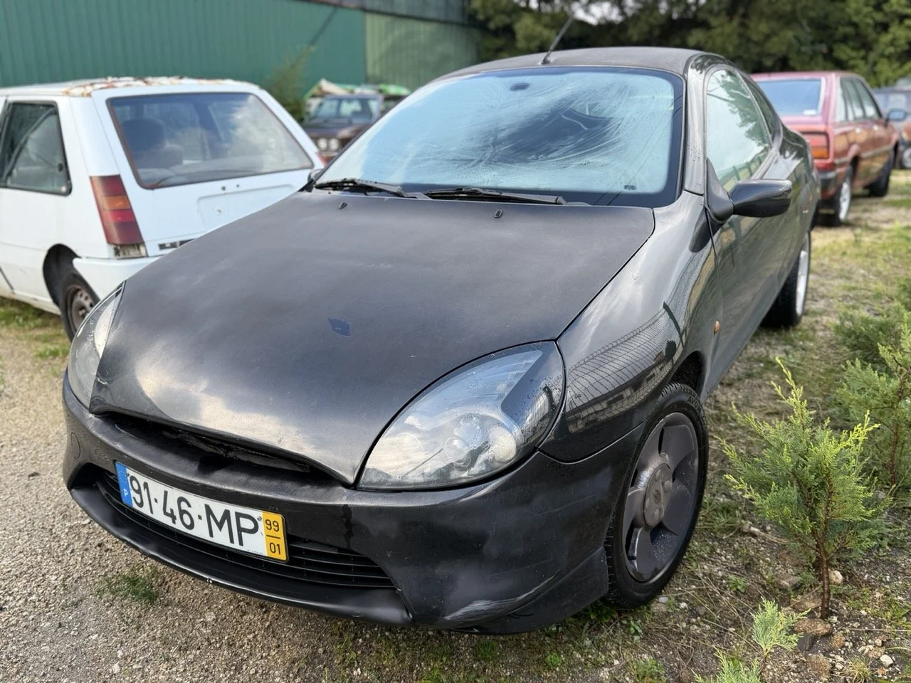 IMG_5292 – grande.jpeg