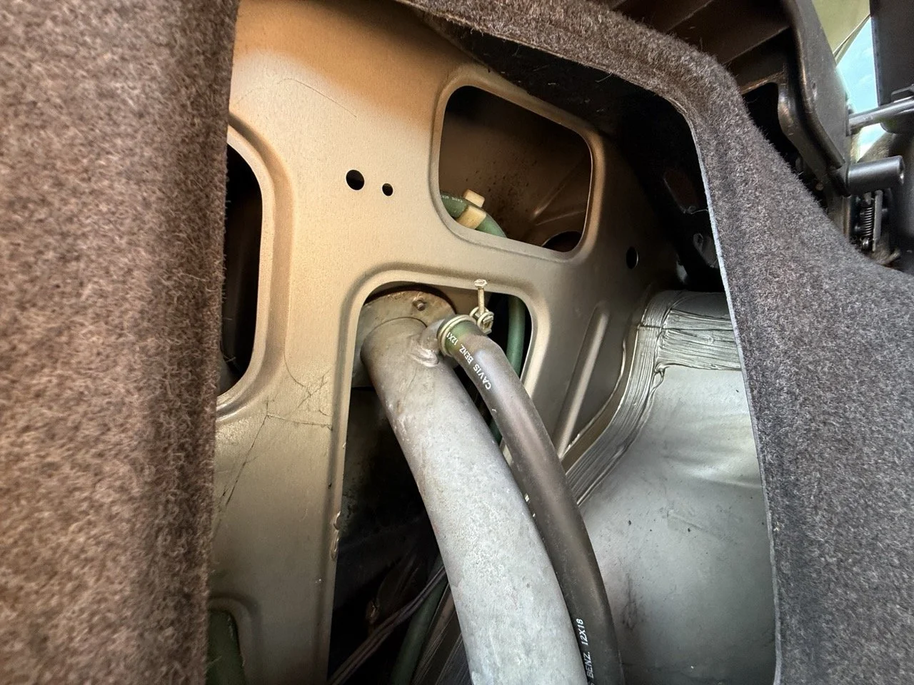 IMG_1931 – grande.jpeg