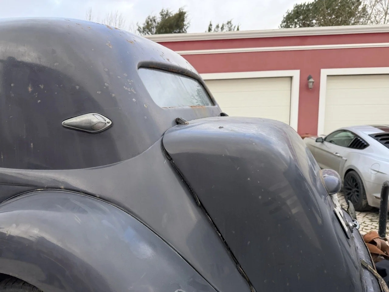 IMG_1875 – grande.jpeg