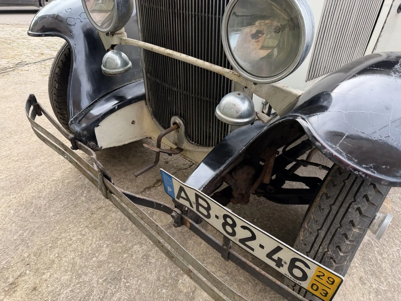 IMG_1620 – grande.jpeg