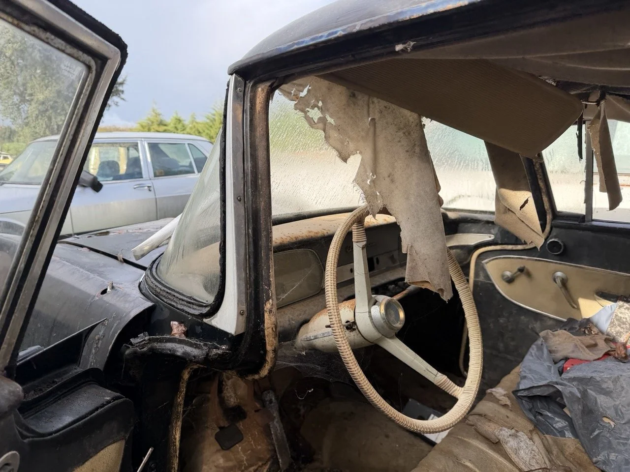 IMG_5082 – grande.jpeg