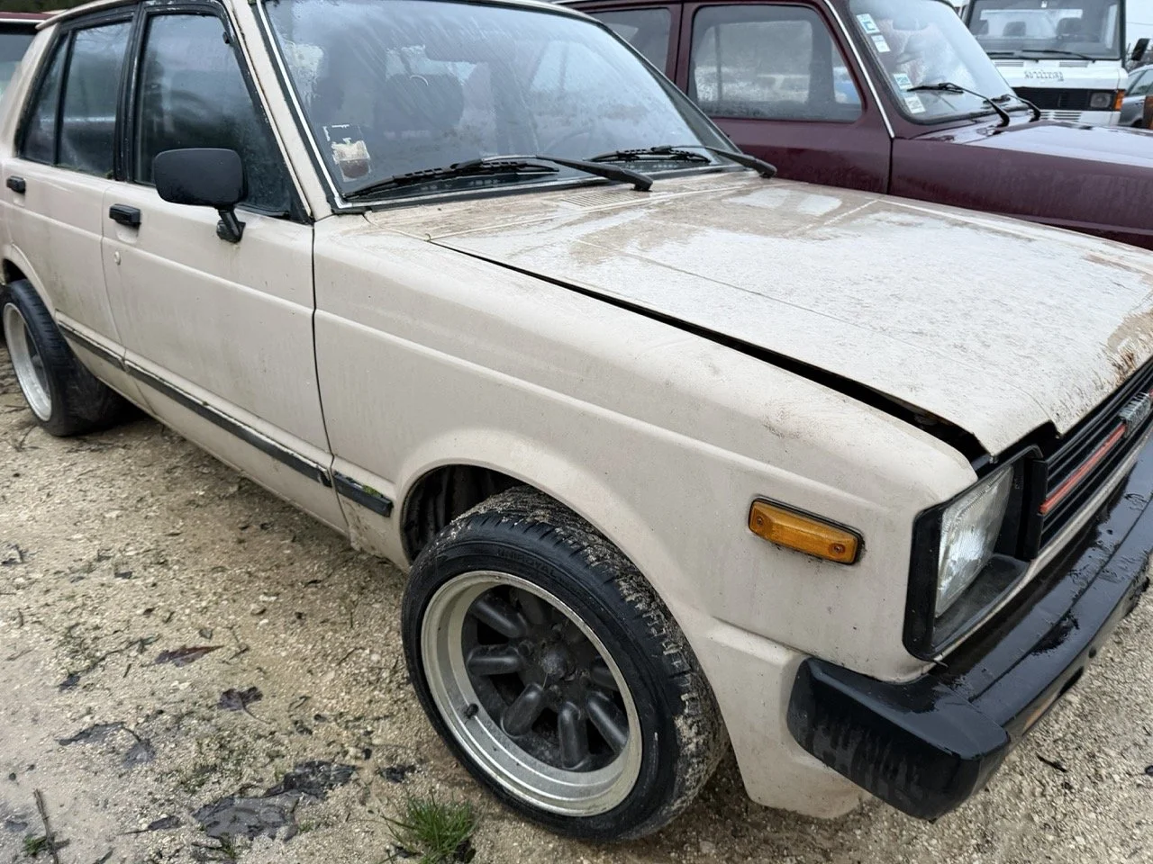 IMG_0207 – grande.jpeg