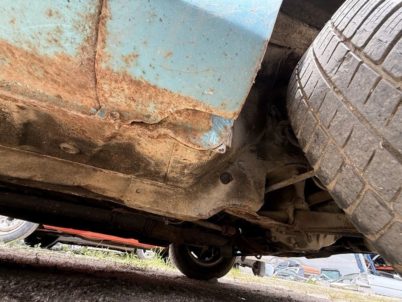 IMG_1571 – grande.jpeg