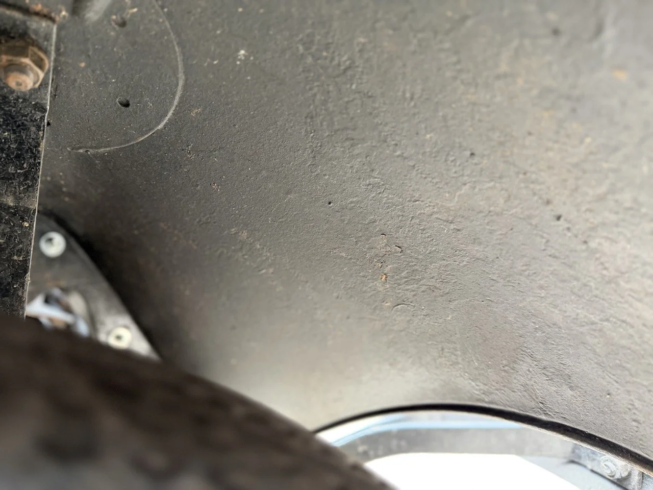 IMG_1478 – grande.jpeg