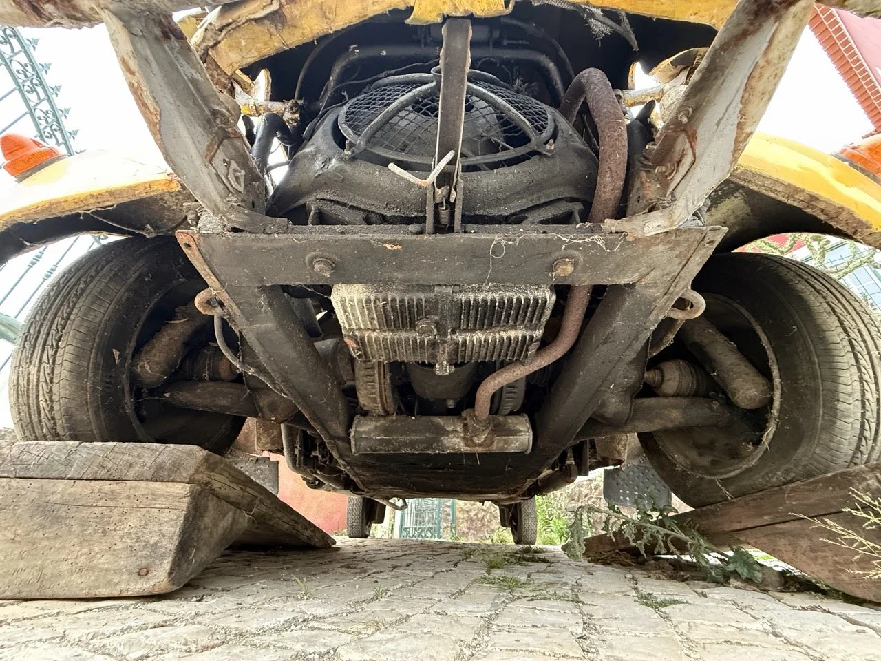 IMG_3822 – grande.jpeg