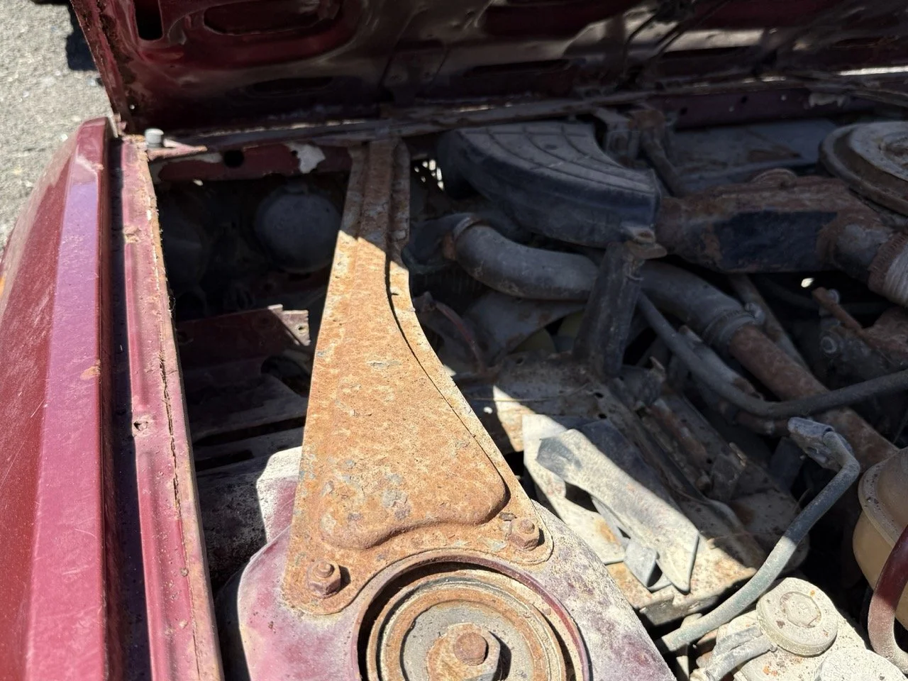 IMG_0924 – grande.jpeg