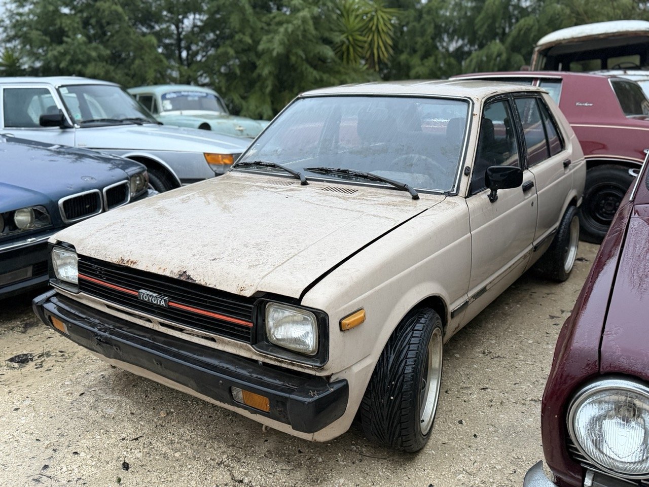 IMG_0191 – grande.jpeg