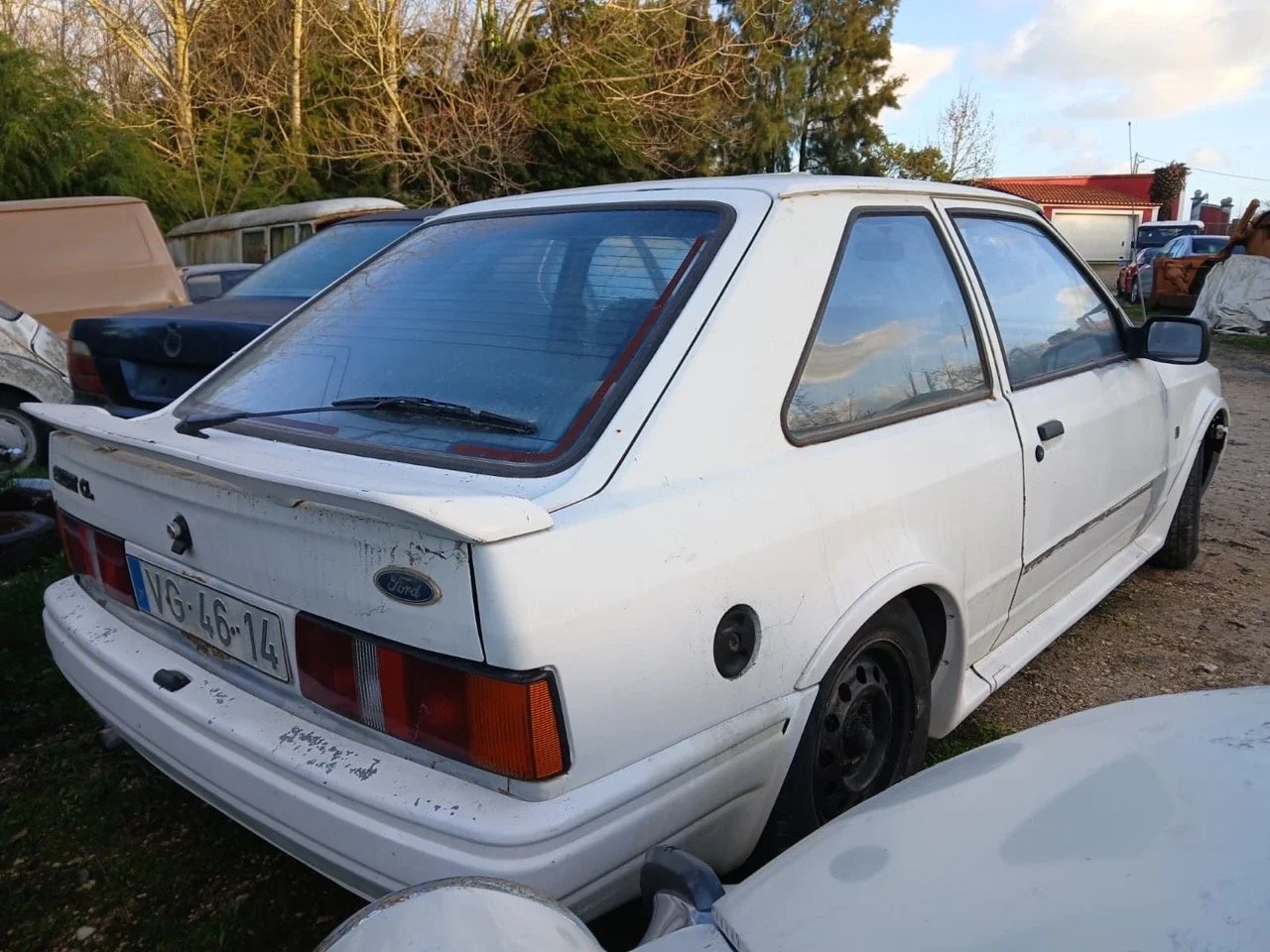 b95efaab-7fee-4f6f-9e00-ab487ffe84b5 2 – grande.jpeg