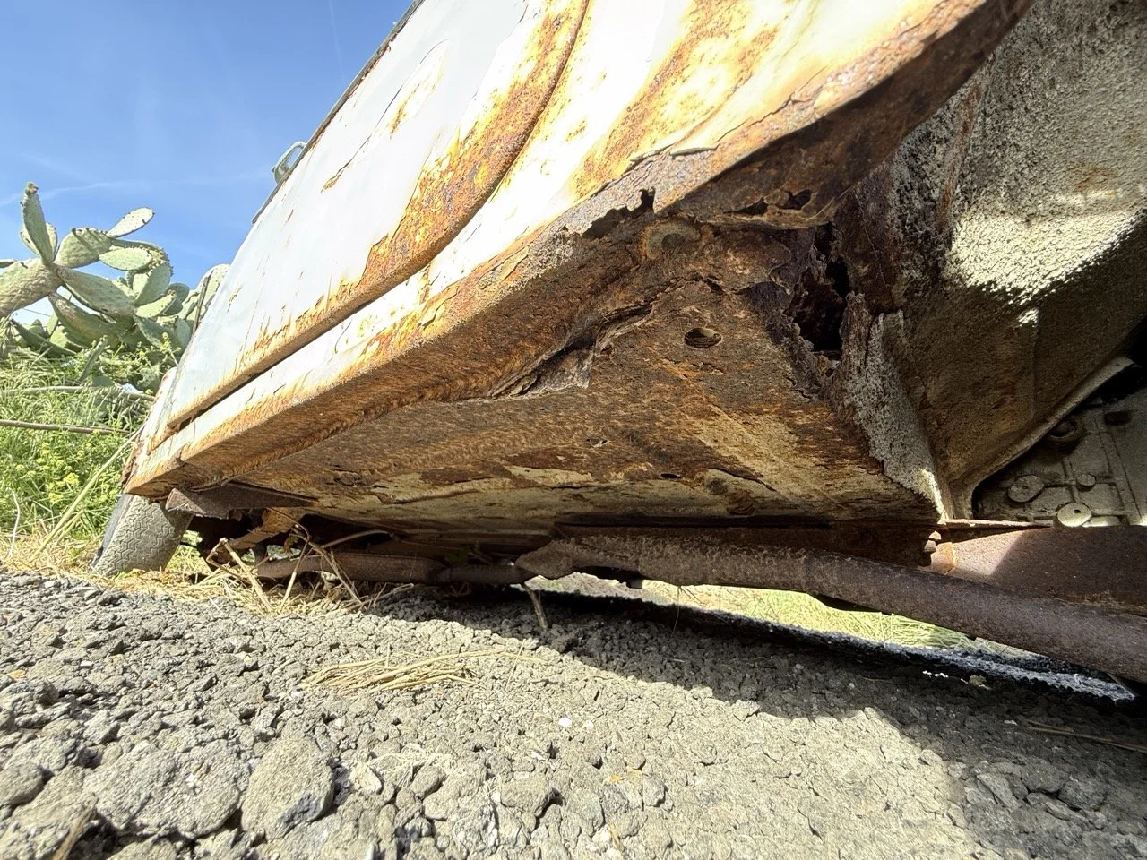 IMG_0507 – grande.jpeg