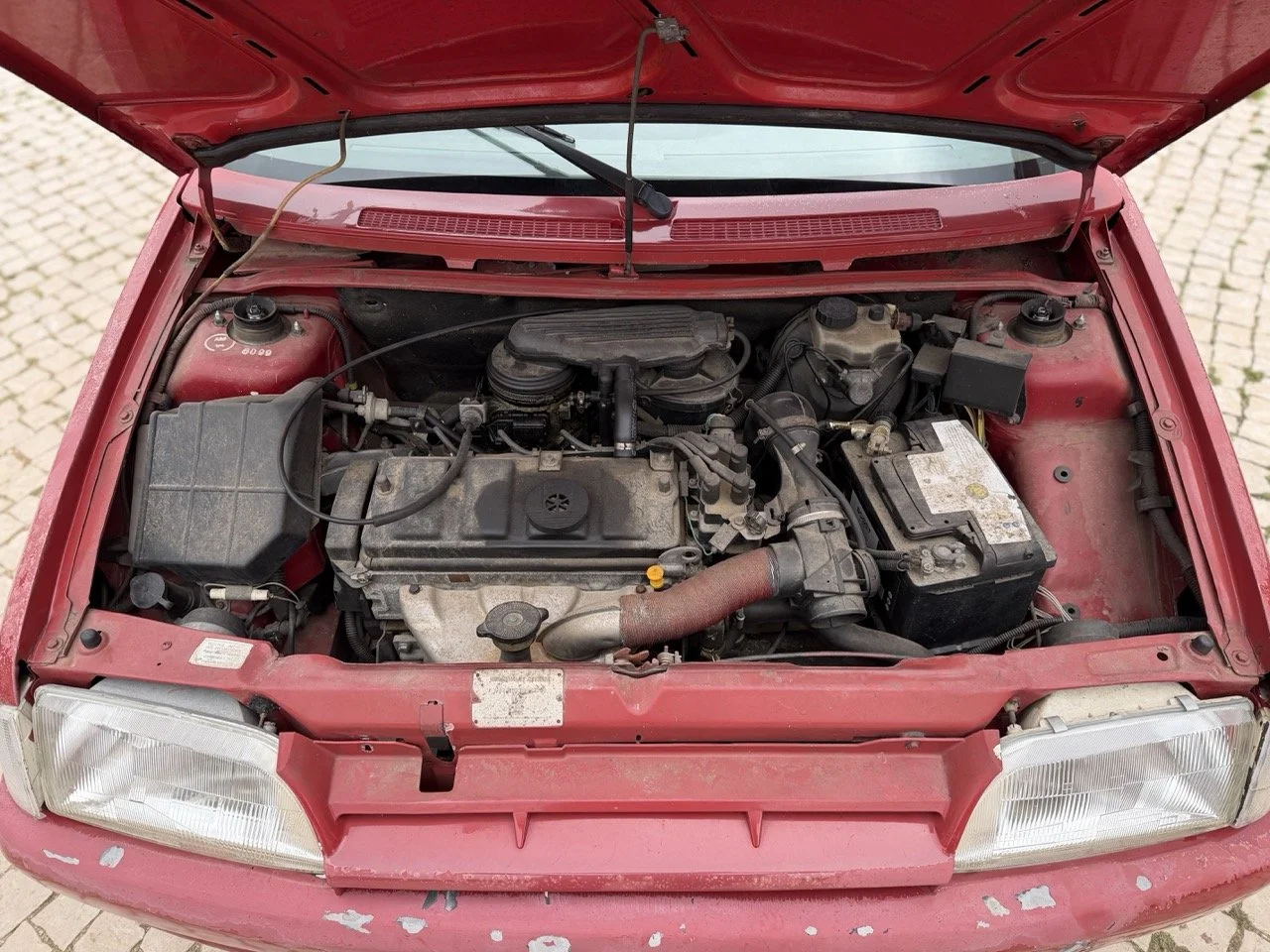 IMG_3595 – grande.jpeg