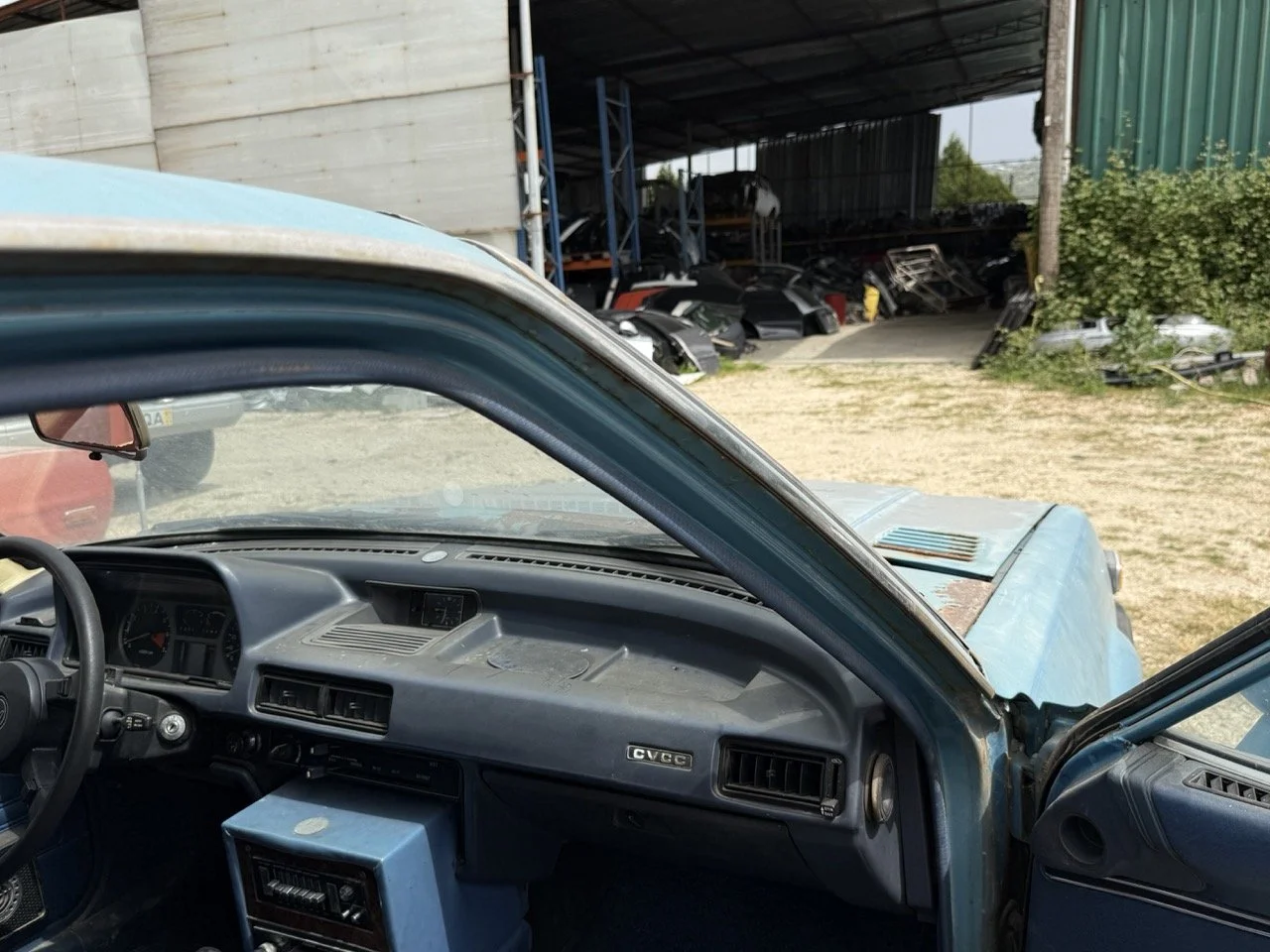 IMG_1543 – grande.jpeg