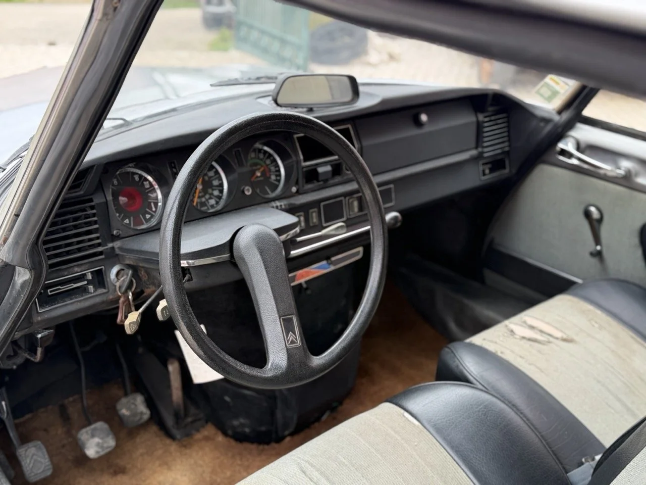 IMG_3697 – grande.jpeg