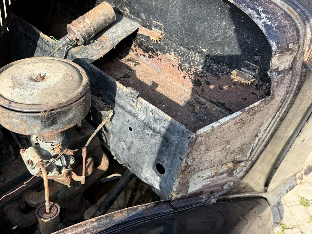 IMG_3706 – grande.jpeg