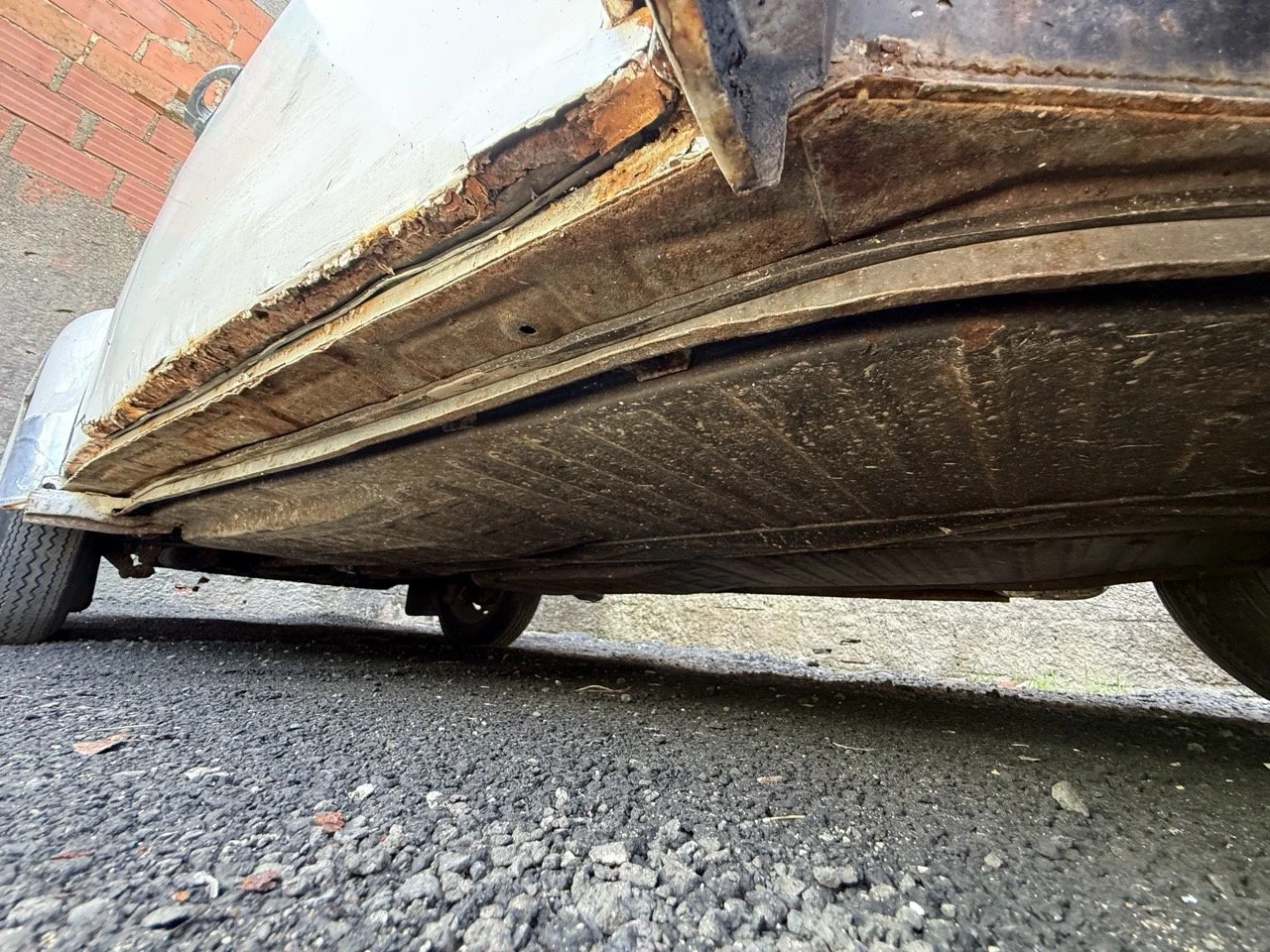 IMG_0731 – grande.jpeg