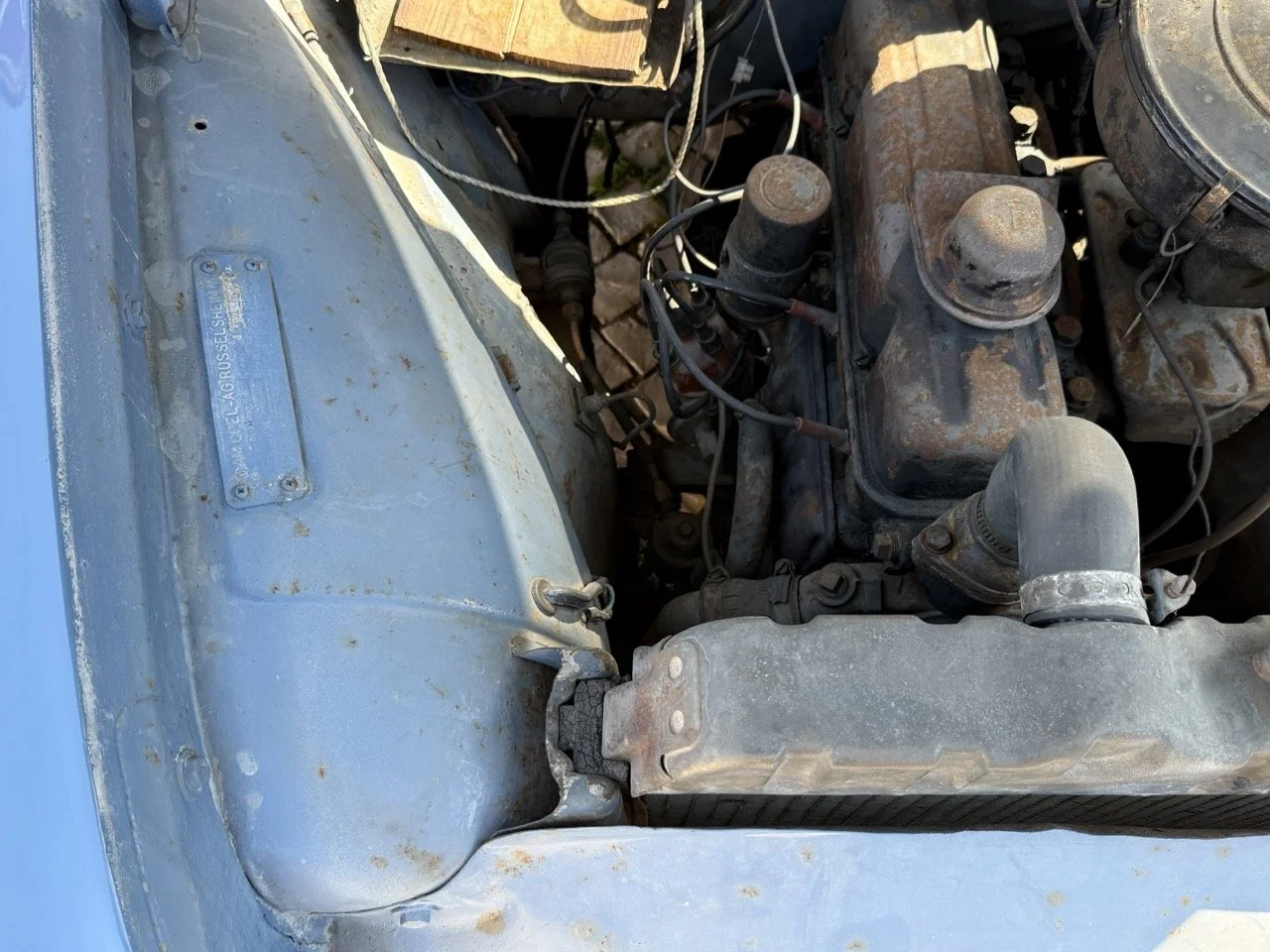 IMG_3521 – grande.jpeg