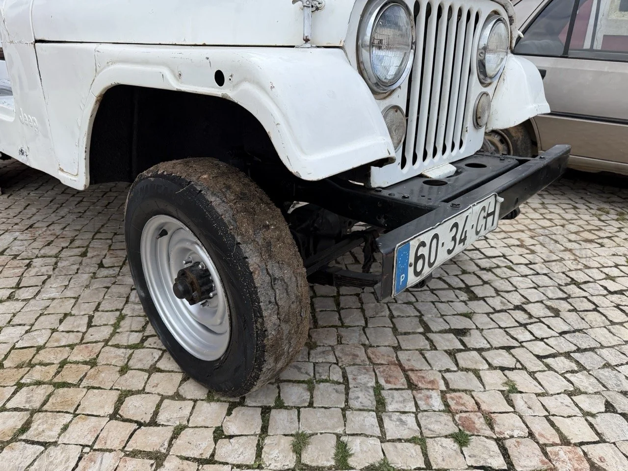 IMG_3918 – grande.jpeg