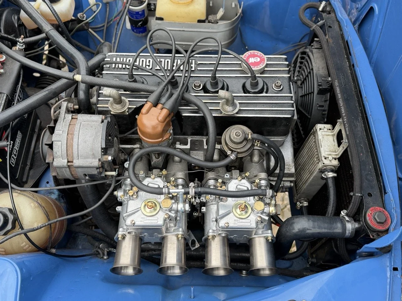 IMG_6016 – grande.jpeg