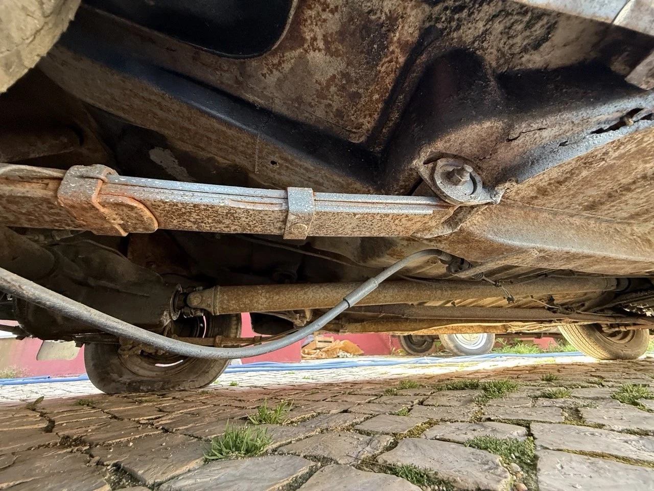 IMG_3566 – grande.jpeg