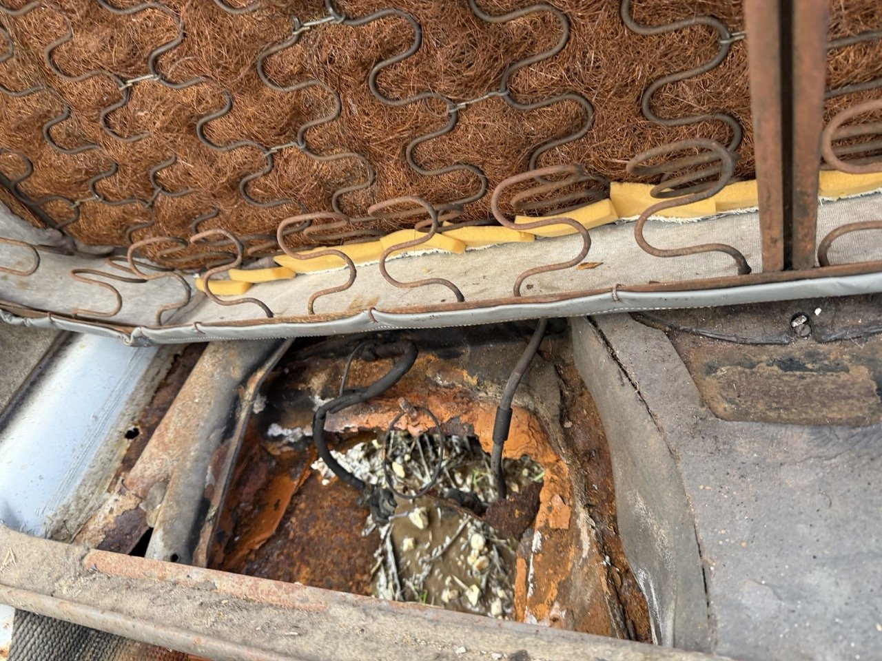 IMG_8603 – grande.jpeg