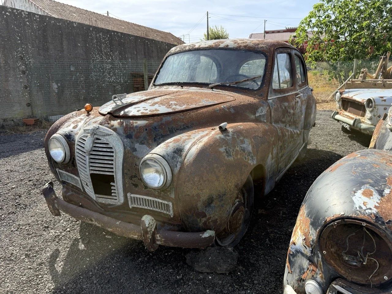 IMG_0429 – grande.jpeg